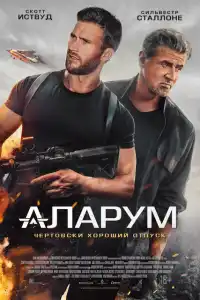 Ларум 2025